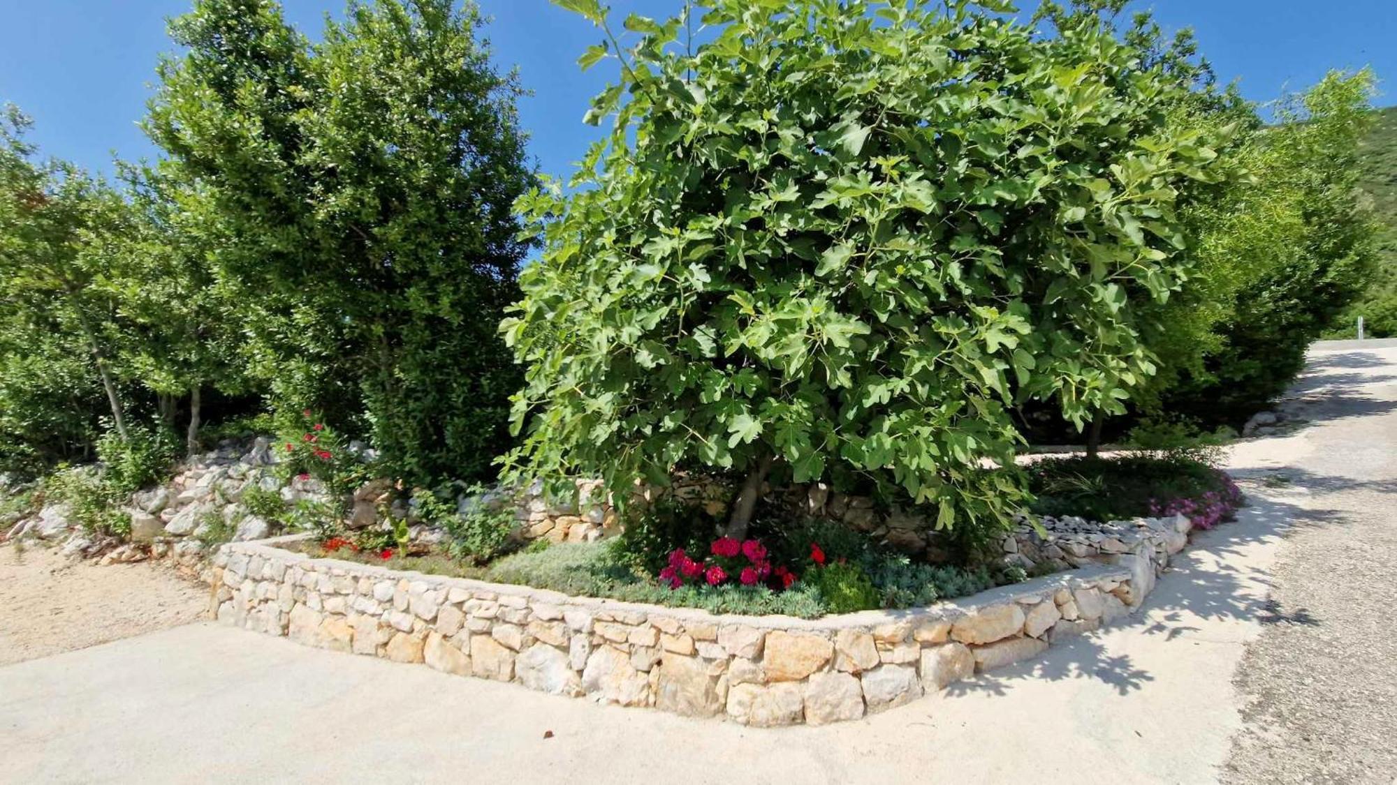 Villa Paradise Garden Ston Kültér fotó